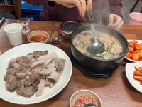 [현대순대국] 하쿠님의 리뷰 2025/3/6