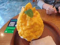 [도쿄빙수 일산점] 먹부둡붑님의 추천 리뷰 2020/4/19