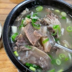 [장기식당] 훈훈님의 추천 포스트 2021/10/24