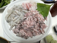 [경산상회] 뽈레리안님의 추천 포스트 2023/7/27