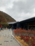 [묵리 459] 꼬앙꼬앙님의 별로 포스트 2020/11/1