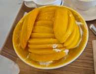 사라의 정원 - 신봉동 디저트카페 | 뽈레 Polle [사라의 정원] 신봉동 디저트카페 | 뽈레 Polle