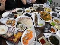 옛날마차 - 신정동 해물주점 | 뽈레 Polle [옛날마차] 신정동 해물주점 | 뽈레 Polle