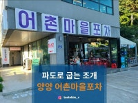 어촌 마을 포차 - 현남면 조개 | 뽈레 Polle [어촌 마을 포차] 현남면 조개 | 뽈레 Polle