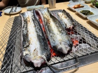 해품장 팔팔장어 도곡점 - 도곡동 장어구이 | 뽈레 Polle [해품장 팔팔장어 도곡점] 도곡동 장어구이 | 뽈레 Polle