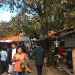 [토담순두부] 🐻님의 좋음 포스트 2017/12/28