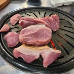 [목동 송식당 먹고기] 혼돈의소식좌님의 추천 리뷰 2023/5/26