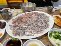 철이네수산 12번회식당 - 죽도동 횟집 | 뽈레 Polle [철이네수산 12번회식당] 죽도동 횟집 | 뽈레 Polle