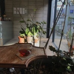 [약초원 약국] 날님의 좋음 리뷰 2018/5/22