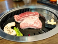 [고기연] 왹왹님의 좋음 포스트 2023/4/16