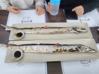 복만 식당 - 남해도 생선요리 | 뽈레 Polle [복만 식당] 남해도 생선요리 | 뽈레 Polle