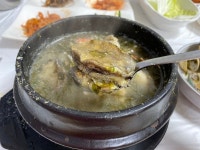 [완도해물탕] jorangmal님의 추천 리뷰 2023/11/6