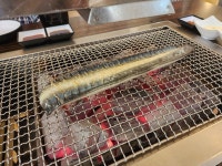 [풍천가 서초직영점] 물개맨님의 좋음 리뷰 2023/8/28