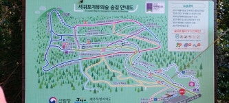 [서귀포 치유의 숲] 외하님의 좋음 포스트 2022/2/27