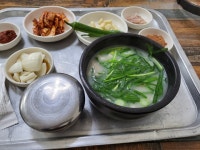 [고령 돼지국밥] 전위대님의 추천 리뷰 2022/2/26