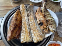 [목련식당] 모티님의 추천 포스트 2023/1/23