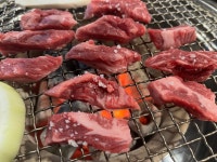 주주돈가 | 뽈레 Polle [주주돈가] | 뽈레 Polle