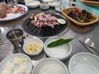 [오리세상] 레베디님의 좋음 포스트 2023/2/28