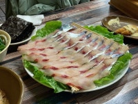 [제일수산 횟집] 단비빙님의 추천 리뷰 2019/11/10