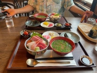 [메시 56] 홍홍코님의 추천 리뷰 2022/8/17