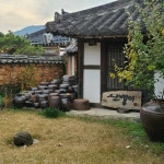 [신뱅이] YNZ님의 별로 리뷰 2023/4/24