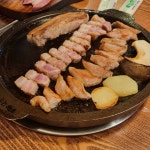 [도시고기] 비뉴뉴님의 추천 포스트 2023/2/28