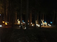 [국립 남해 편백 자연휴양림] 일세님의 추천 리뷰 2022/11/12