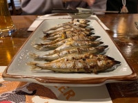 [호미관] 대산님의 추천 포스트 2020/2/18