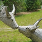 발 빠른 미식 플랫폼, 뽈레! [티앤림 자연휴양림] wisdomjh님의 포스트 2019/6/2