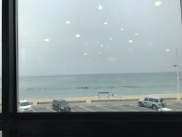 [강릉 해파랑물회] 삼칠님의 좋음 포스트 2017/5/9