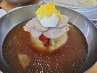[춘하추동 밀면 논현직영점] 모찌님의 추천 리뷰 2022/1/28