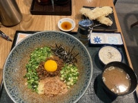 [오레노 도쿄] 살구맛님의 좋음 리뷰 2023/2/20