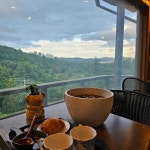 [우드 앤 숲] 새벽님의 리뷰 2024/9/3