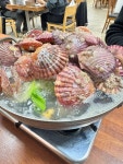 해물전문식당 바다향 - 조리읍 해산물 | 뽈레 Polle [해물전문식당 바다향] 조리읍 해산물 | 뽈레 Polle