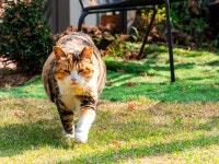 오뜨몽드 - 연서면 카페 | 뽈레 Polle [오뜨몽드] 연서면 카페 | 뽈레 Polle