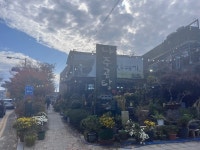 [사매기 나주곰탕] 뚠뚠쀼님의 리뷰 2025/3/12