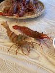 천금회수산 - 울릉도 횟집 | 뽈레 Polle [천금회수산] 울릉도 횟집 | 뽈레 Polle