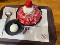 [설빙 주안역점] 쑥절미님의 리뷰 2026/3/28