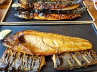 [북극해 고등어 서수원점] 이슬사랑님의 좋음 포스트 2022/11/26