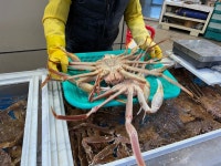 [싱싱대게] 뽈레리안님의 좋음 포스트 2023/12/22