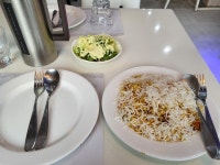 [뉴 살라딘] 전위대님의 추천 리뷰 2021/12/29