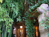 [모모스 커피 온천장본점] 선인장님의 추천 리뷰 2019/9/17