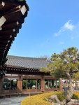 담소 - 삼동면 카페 | 뽈레 Polle [담소] 삼동면 카페 | 뽈레 Polle
