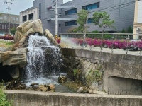 [메밀장터 선바위본점] capriccio님의 추천 리뷰 2022/10/16