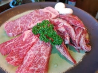 시찌린 - 명일동 샤브샤브 | 뽈레 Polle [시찌린] 명일동 샤브샤브 | 뽈레 Polle