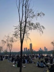 [노들섬] 닭강정박사님의 추천 리뷰 2024/4/6