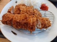 댓짱 돈까스 서초점 - 서초동 돈까스 | 뽈레 Polle [댓짱 돈까스 서초점] 서초동 돈까스 | 뽈레 Polle