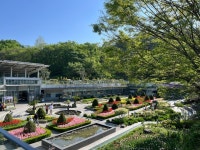 신구대학교 식물원 - 상적동 식물원 | 뽈레 Polle [신구대학교 식물원] 상적동 식물원 | 뽈레 Polle