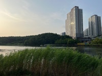 [동탄 호수공원] 당뉴님의 추천 포스트 2022/7/9