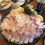 [물고기주택 본점] 야간열차님의 추천 리뷰 2022/3/30